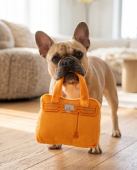 Barkin Bag Orange Plush Squeaky Dog Toy