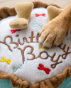 Birthday Boy Blue Cake Plush Squeaky Dog Toy - 2 Sizes