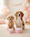 Birthday Girl Pink Cake Plush Squeaky Dog Toy - 2 Sizes