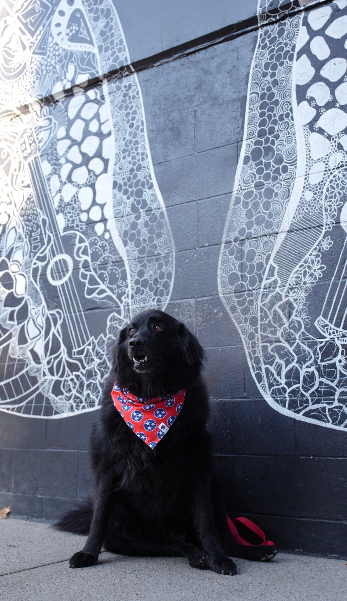 Dog Bandana Co. Nashville Tennessee Dog Bandana