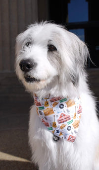 Dog Bandana Co. Nashville Tennessee Dog Bandana
