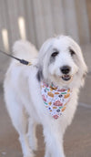 Dog Bandana Co. Nashville Tennessee Dog Bandana