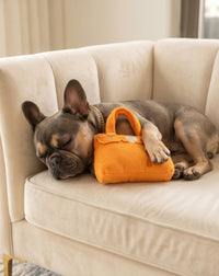 Barkin Bag Orange Plush Squeaky Dog Toy