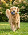 Grrrona Bottle Plush Squeaky Dog Toy - 3 Sizes