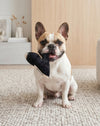 Jimmy Chew Black Shoe Plush Squeaky Dog Toy - 2 Sizes