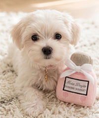 Miss Dog-ior Pawfum Bottle Plush Squeak Dog Toy