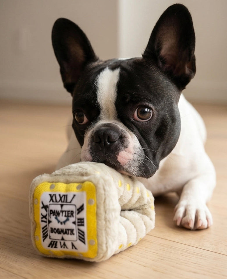 Pawtier Watch Plush Squeaky Dog Toy