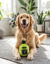 Puptron Tequila Green Plush Squeaky Dog Toy