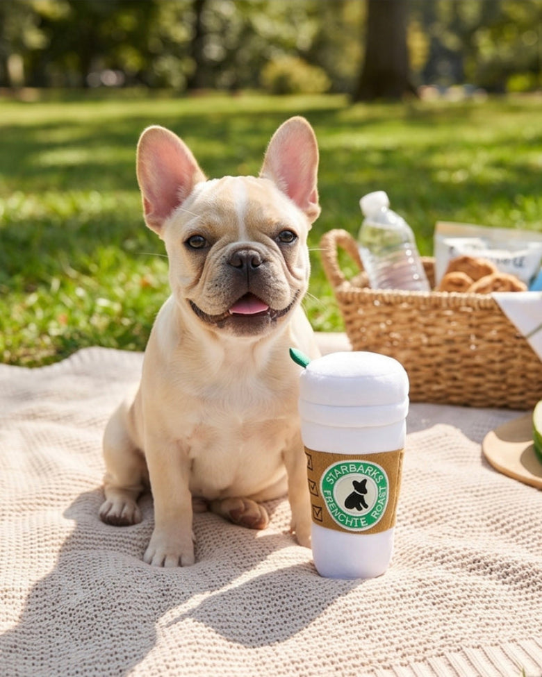 Starbarks White Coffee Cup Plush Squeaky Dog Toy - 3 Sizes