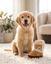 Pugg Boot Brown Plush Squeaky Dog Toy