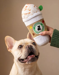 Starbarks Pupkin Spice Latte Fall Season Plush Squeaky Dog Toy - 2 Sizes