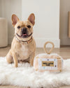 White Chewy Trunk Interactive Activity House Rope Dog Toy Set - 4Pc