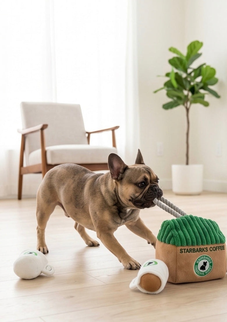 Starbarks Coffee House Interactive Plush Squeaky Dog Toy Set - 3 Pc