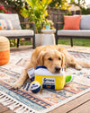 Grrrona Cooler Interactive Activity House Dog Toy Set - 4Pc