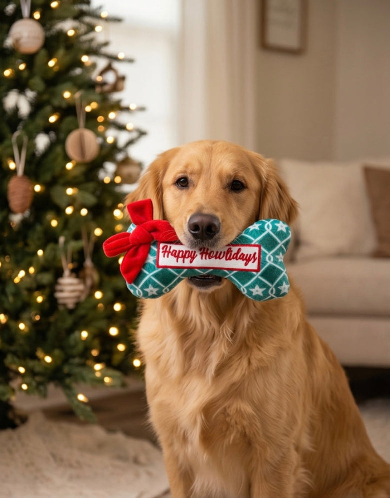 Puppermint Bone Green Stars (Happy Howlidays) Christmas Holiday Plush Squeak Dog Toy