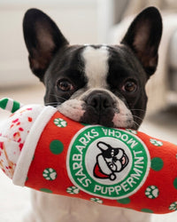 Starbarks Puppermint Mocha Holiday Dots Christmas Plush Squeaky Dog Toy