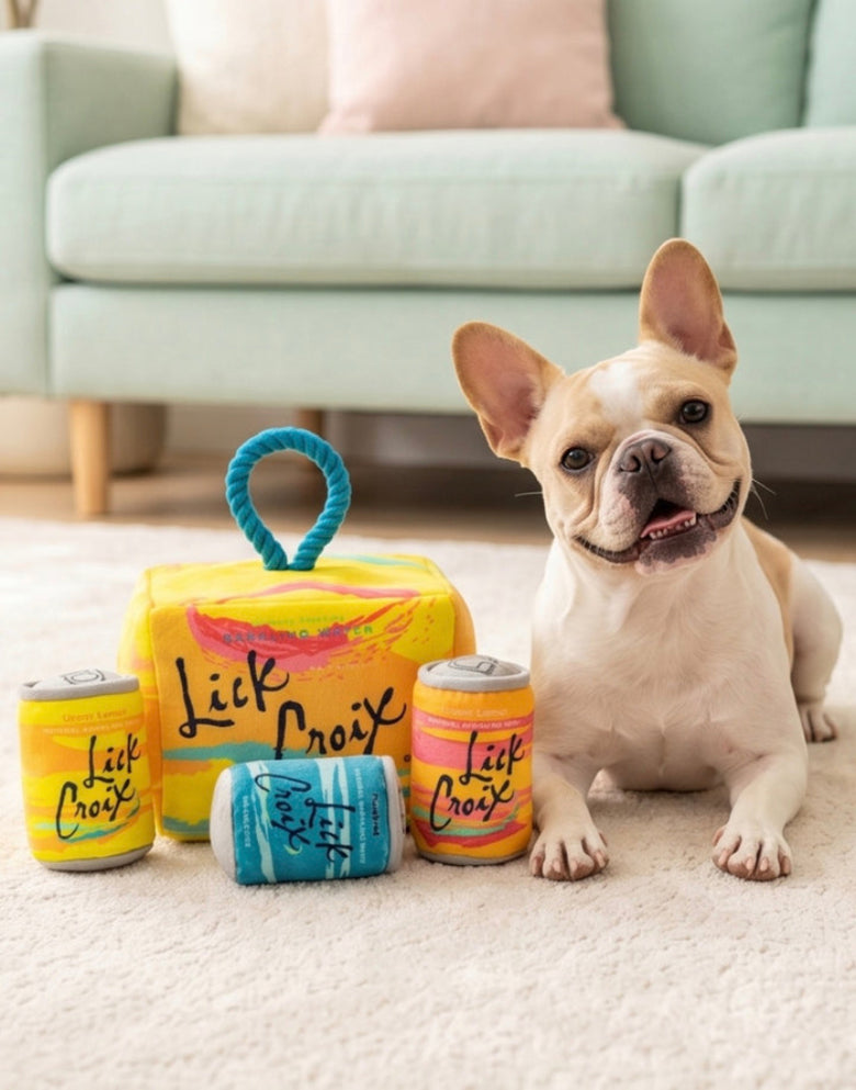 Lickcroix Grrriety Pack Interactive Activity House Dog Toy Set - 4 Pc