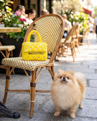 Wagentino Yellow Handbag Plush Squeaky Dog Toy