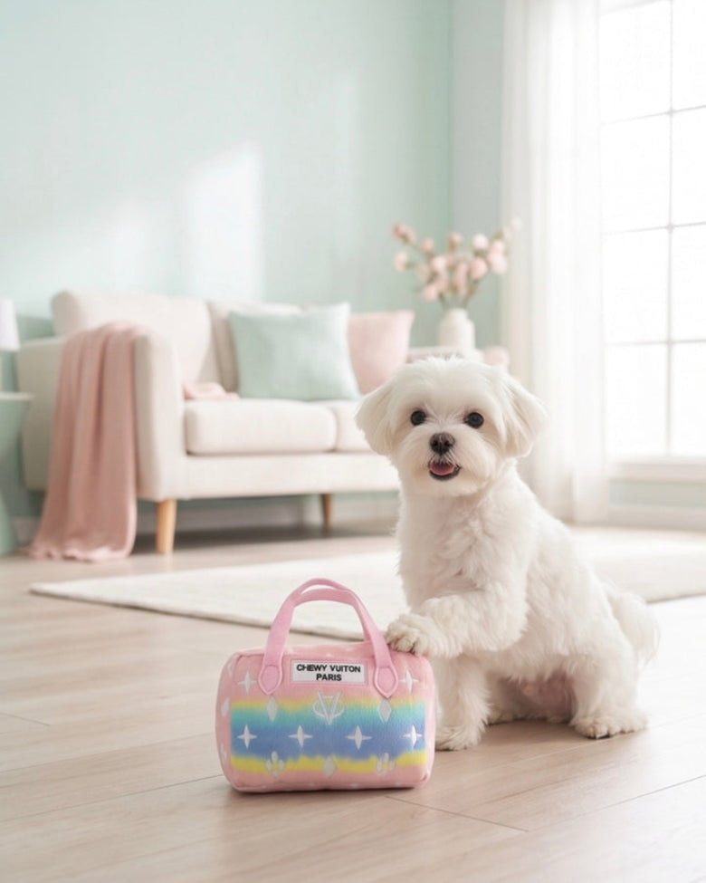 Pink Ombre Chewy Handbag Plush Squeaky Dog Toy - 2 Sizes