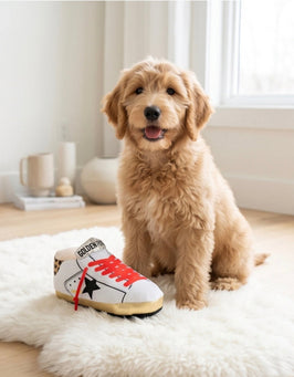 Golden Pooch Shoe Plush Squeaky Dog Toy