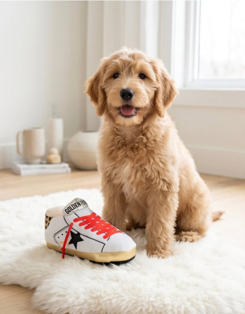Golden Pooch Shoe Plush Squeaky Dog Toy