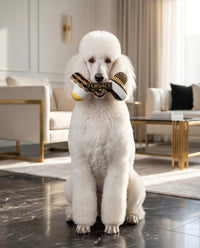 Fursace Bone Black & Gold Plush Squeaky Dog Toy