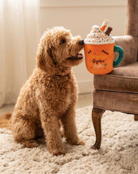 Pupkin Spice Latte Mug Plush Squeaky Fall Season Dog Toy