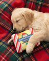 Grrradelli Puppermint Bark Square Christmas Holiday Plush Squeaky Dog Toy