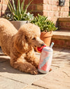 Pawloma Peachy with Cute Garnish Plush Squeaky Dog Toy