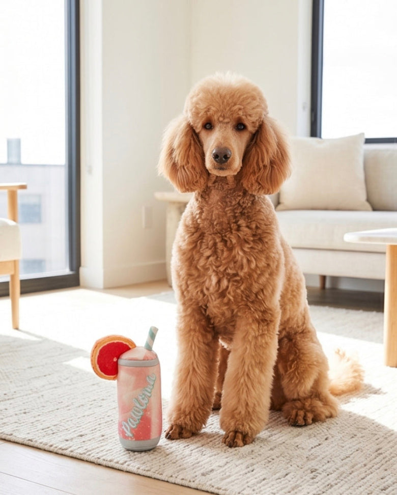 Pawloma Peachy with Cute Garnish Plush Squeaky Dog Toy