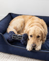 Black Checker Chewy Bone Plush Squeaky Dog Toy - 3 Sizes