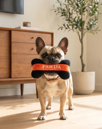 Pawda Bone Black & Red Plush Squeaky Dog Toy