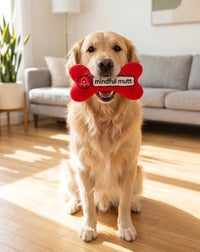 Chewlulemon Red Bone Plush Squeaky Dog Toy