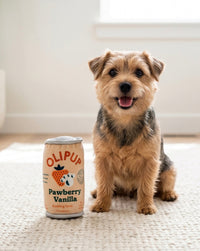 Olipup Pawberry Vanilla Can Plush Squeaky Dog Toy