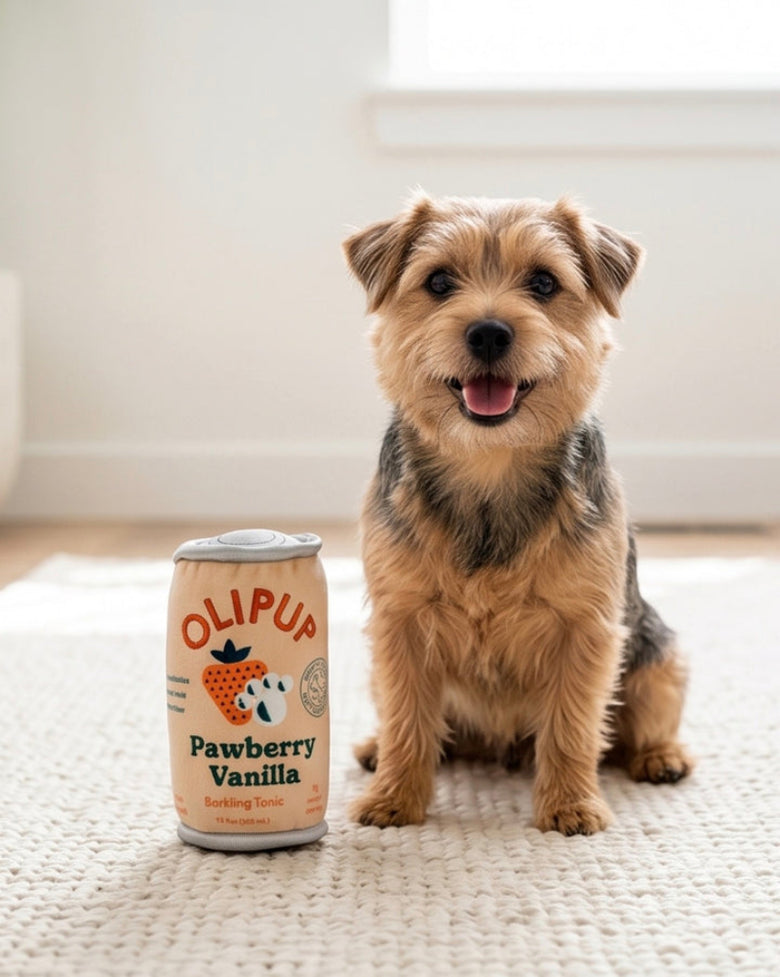 Olipup Pawberry Vanilla Can Plush Squeaky Dog Toy