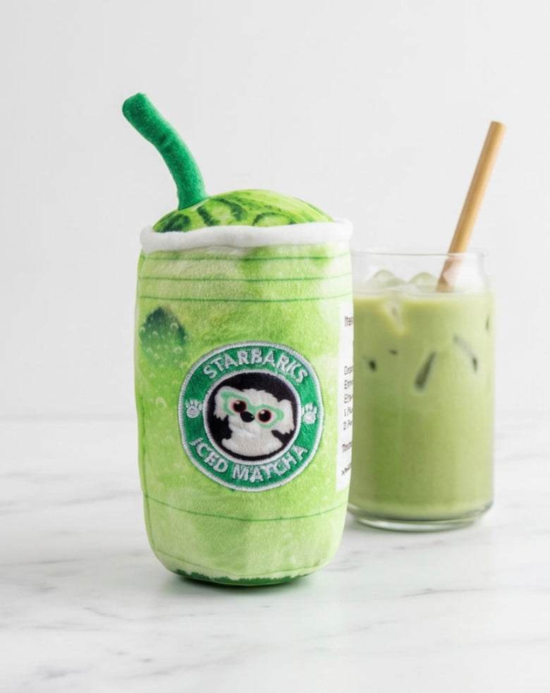 Starbarks Iced Matcha Green Plush Squeaky Dog Toy