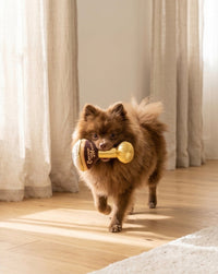 Espresso Muttini Plush Squeaky Dog Toy