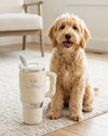 Snuggly Cup Embroidered Plush Squeaky Dog Toy - 3 Colors: Blush, Teal, Ivory