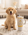 Holiday Snuggly Cup Plush Squeak Dog Toy - Comes in 3 Colors