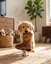 Brown Cowboy Boot "Let's Get Rowdy" Western Plush Squeaky Dog Toy