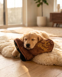 Brown Cowboy Boot "Let's Get Rowdy" Western Plush Squeaky Dog Toy