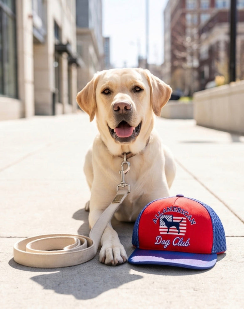 All American Dog Club Trucker Hat Plush Squeaky Dog Toy
