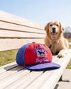 All American Dog Club Trucker Hat Plush Squeaky Dog Toy