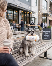 Pupkin' Donuts Hot Coffee Cup Plush Squeaky Dog Toy
