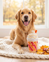 Pupkin' Donuts Iced Coffee Cup Plush Squeaky Dog Toy