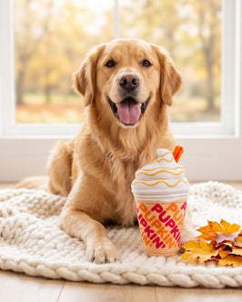 Pupkin' Donuts Iced Coffee Cup Plush Squeaky Dog Toy