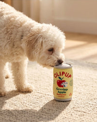 Olipup Soda Grrrisp Apple Plush Squeaky Fall Season Dog Toy