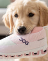 DOG Pink Workout Shoe Plush Squeaky Dog Toy
