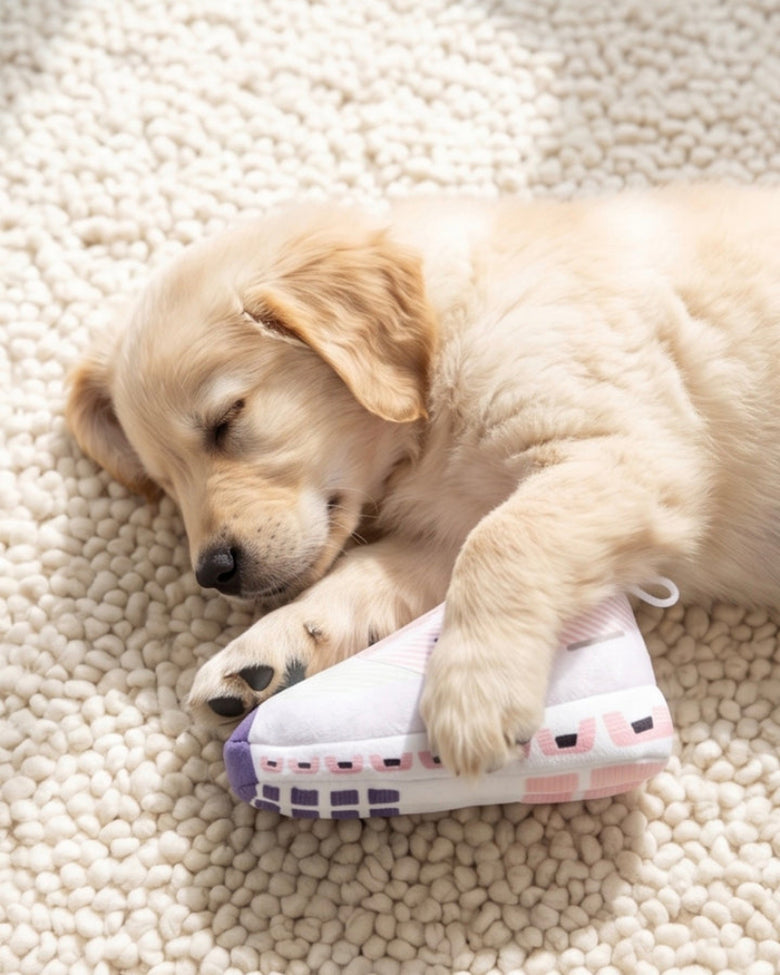 DOG Pink Workout Shoe Plush Squeaky Dog Toy