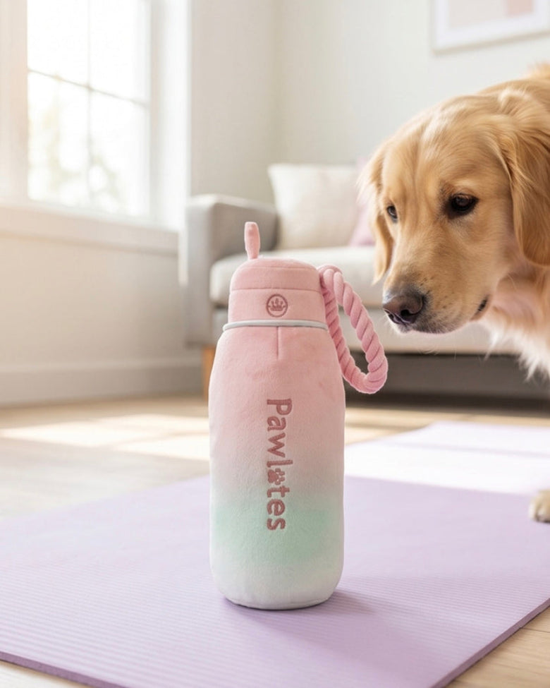 Pawlates Princess Water Bottle Plush Squeaky Dog Toy